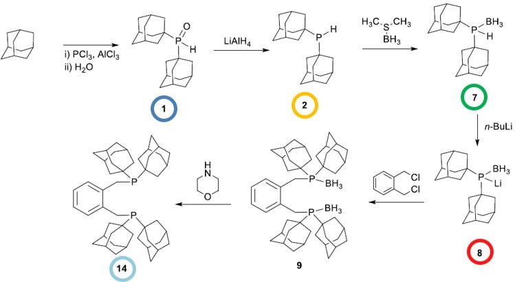 09-phosphorus_reaction_scheme